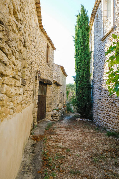  Deserted narrow street of Provence village with cypress. Tourism in France.