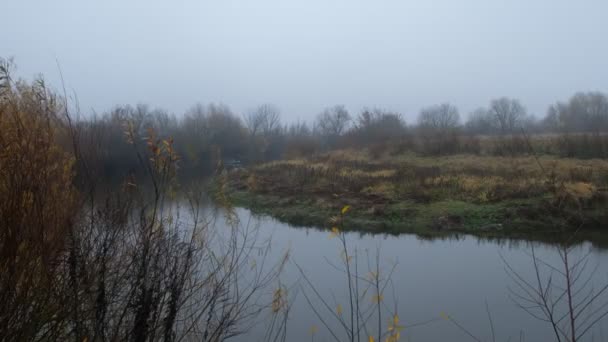 濃い秋の霧の中で川 川が回っている ウクライナの自然 — ストック動画