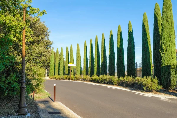 Empty local rural road lined with cypresses. On the turn is a message board. Provence. France.