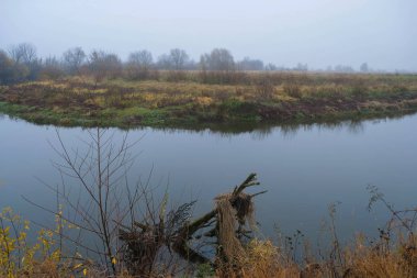 Sonbahar sisli gününde küçük bir nehir. Nehir dönüyor. Ukrayna 'nın Doğası.