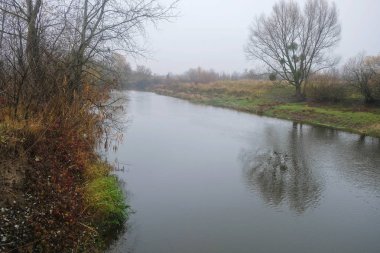 Sisli bir günde nehir akar. Ukrayna 'da Doğa.