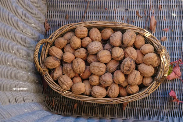 Noix Isolées Sur Une Surface Osier Manger Sainement Plein Air — Photo