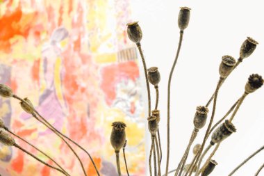 Haşhaş kutuları izole. Mor elbiseli bir kadının turuncu ve sarı silueti arasında. Bağımlılık.