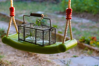 Kırsal alanda boş bir salıncak. Altın saatinde salıncakta iki cam vazo taşıyan metal sepet..