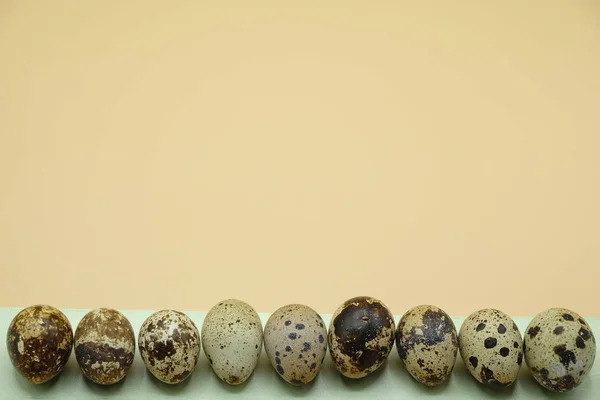 Rij Van Gevlekte Kwarteleitjes Een Muntkleur Lint Objecten Onderaan Afbeelding — Stockfoto