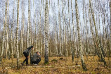 Ukrayna 'daki huş ağacında aynı gri kazakları giyen mutlu çift dürbün izliyor. Adam oturmuştu. Kadın ona doğru eğildi. Birlikte dinlenin..