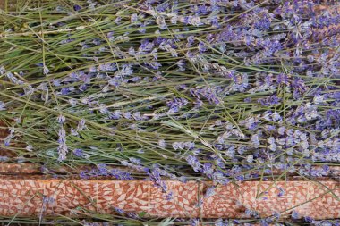  Lavanta hasadı. Sabun pişirmek için kuru, kokulu lavanta çiçekleri..