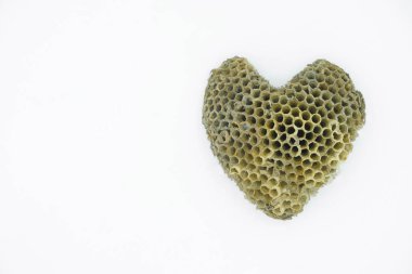  Kalp şeklinde eşek arısı peteği. Gelecek nesiller için balmumu kutusu. Uzayı kopyala Kapat..