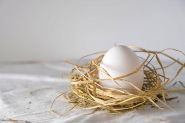  Beyaz arka planda saman yuvasında doğal beyaz yumurta. Sonsuz yaşam kavramı. Boşluğu kopyala.