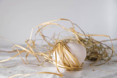 Etrafında saman sapları olan doğal beyaz yumurta. Standart olmayan kompozisyon. Yaşam uzatma konsepti. Boşluğu kopyala.