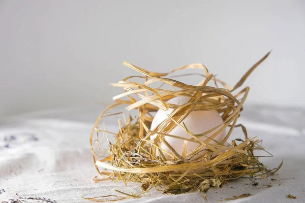 Doğal beyaz yumurta yumuşak saman saplarında gizlidir. Standart olmayan kompozisyon. Çocuk beklentisi kavramı. Boşluğu kopyala.