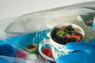 Yeşil bitki, tek kullanımlık eldivenler, plastik çöpler selofan torbasının kapalı alanında. İnsanların çevreye olan ilgisizliği. Boşluğu kopyala.