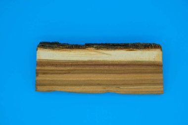 Ukrayna 'da mavi arka planda meyve ağacı kütüklerinin ham maddesi. Minimalizm. Boşluğu kopyala.