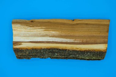 Ukrayna 'da mavi arka planda meyve ağacı kütüklerinin ham maddesi. Minimalizm. Boşluğu kopyala.