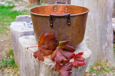 Yağmurda Provence bahçesindeki selvi ağacının üzerinde boş bir bakır tencere ve bir sarmaşık dalı. Kırsal yaşam.