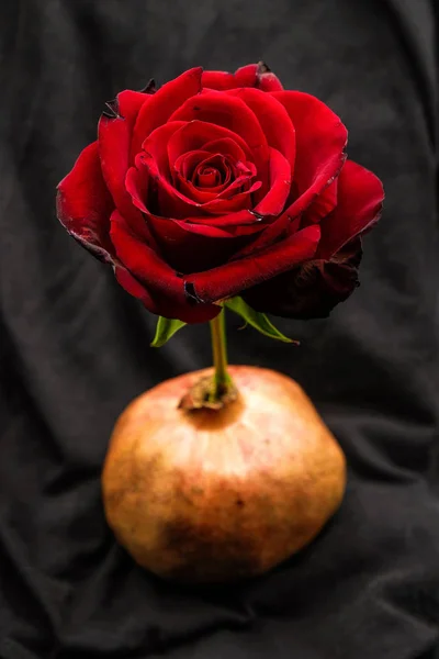Borgogna Rosa Vaso Frutta Melograno Uno Sfondo Tessuto Nero Ucraina — Foto Stock