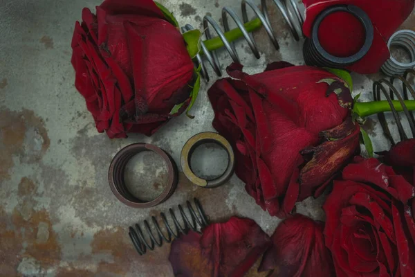 Rosas Descoloridas Sobre Fondo Oxidado Entre Muelles Metálicos Foto Oscura — Foto de Stock