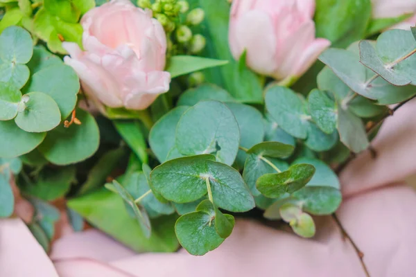 Branches Eucalyptus Avec Des Tulipes Roses Sur Fond Rose Espace — Photo