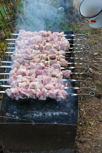 Grillsütés Ukrajnában Házi Karantén Házi Készítésű Élelmiszer Fogalma — Stock Fotó