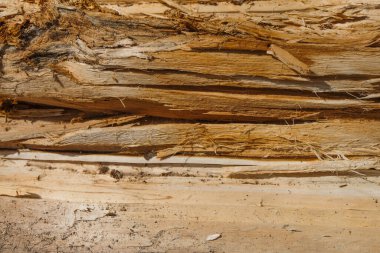 Çiğ ahşap yüzey. Ahşap iplik. Boşluğu kopyala.