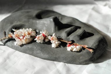  Ukrayna 'da güneşli bir sabahta beyaz arka planda siyah seramik maske. Yanağında solmuş kayısı ağacı dalları var..