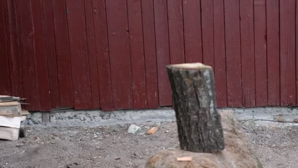 Brandhout Hakken Met Een Bijl Een Dorp Oekraïne Dagelijkse Zaken — Stockvideo