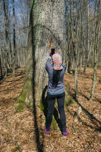 Mujer Deportiva Años Edad Tomando Fotos Viejo Árbol Poderoso Bosque —  Fotos de Stock