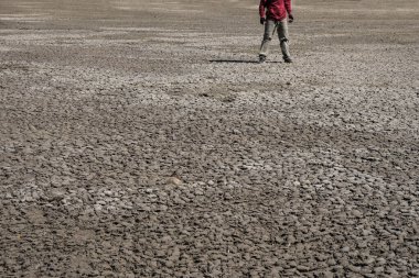 İnsan vücudunun bir parçası. Bir adam Ukrayna 'da vahşi bir gölün dibinde duruyor. Ekolojik felaket. Boşluğu kopyala.