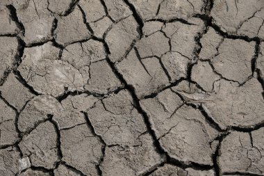Doğal toprak dokusu. Toprak susuz kalmış. Ukrayna 'da çevre felaketi.