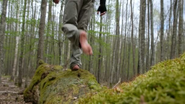 ウクライナの鬱蒼とした森の中で59歳のスポーティな男 男は巨大な木の幹の苔むした表面を裸足で歩く — ストック動画
