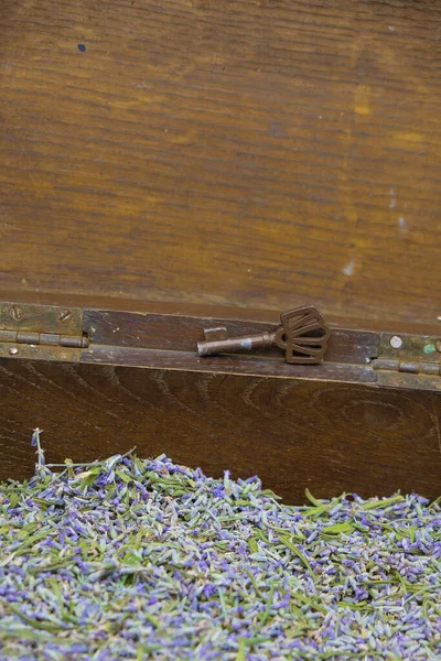 Isolated dried lavender flowers in an old wooden chest. The key to the chest. Copy space. Vertical image.