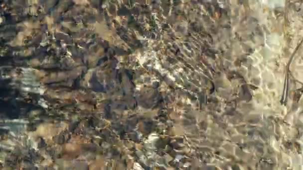 乌克兰阳光明媚的日子里 一条清澈清澈的小河 底部是白土做的 底部有一些小石块 光反射 — 图库视频影像