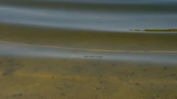 Olas Círculos Agua Fondo Arenoso Visible Través Del Agua — Vídeo de stock