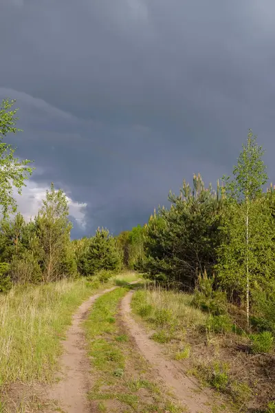 雨の前に自然 ウクライナの春に森の中で捨てられた砂の道 コピースペース 垂直画像 — ストック写真