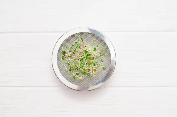 Brotos microverdes jovens na tampa de metal com uma peneira, em um fundo limpo branco closeup — Fotografia de Stock