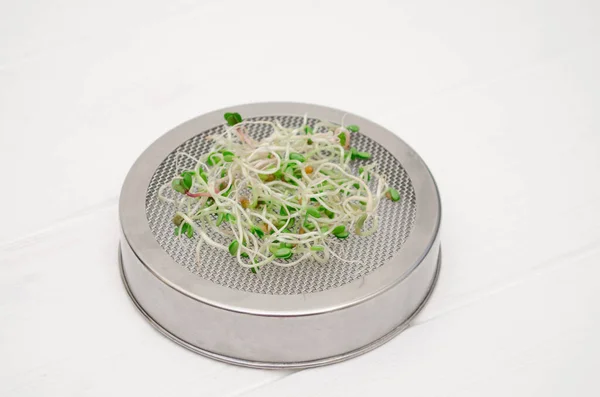 Brotes jóvenes microverdes en la cubierta de metal con un tamiz, sobre un fondo blanco limpio de cerca — Foto de Stock