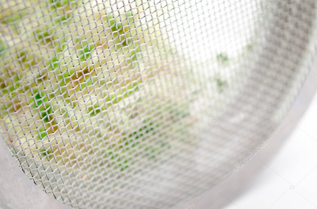 Glass jar with metal lid, mesh, for microgreen, young sprouts of radish, lucerne, fenugreek plants on white background