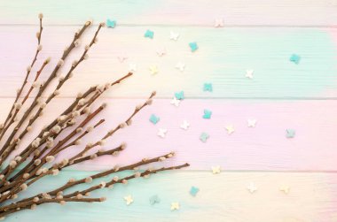 Gökkuşağı arka planında kabarık tomurcukları ve kelebekleri olan söğüt dalları. Kopyalama alanı ile bahar kartı şablonu