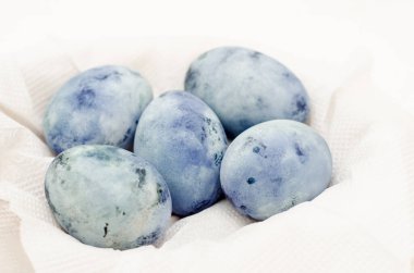 Beş mavi mermer yumurta, ejderha yumurtasına benzer, amber çayıyla boyanmış, beyaz arka planda, kopyalanmış bir kart için.