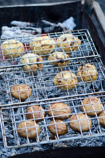 将酱油和蛋黄酱中美味的多汁香菇放在烤炉或烧烤蒸汽的格子里 放在自制的烤架上 在特写镜头下煎 — 图库照片