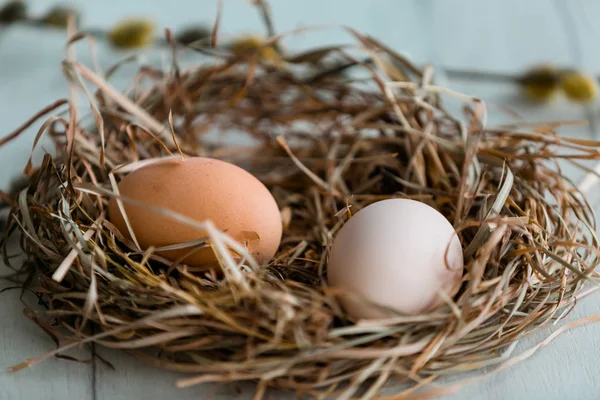 Yuvadaki Paskalya Yumurtaları Paskalya — Stok fotoğraf