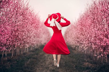 Bahçede koşan genç bir kız. Şeftali bahçesi. Şeftali çiçeği.