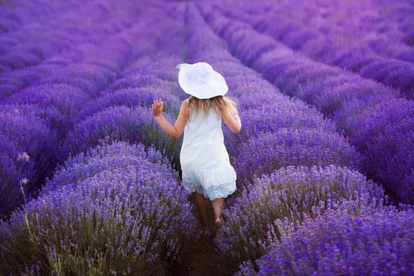 Девочка Бегает Букетом Лаванды Фиолетового Цвета Фиолетовое Лавандовое Поле Деревня — стоковое фото