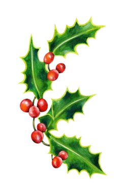 Noel Holly şube. Suluboya resim.