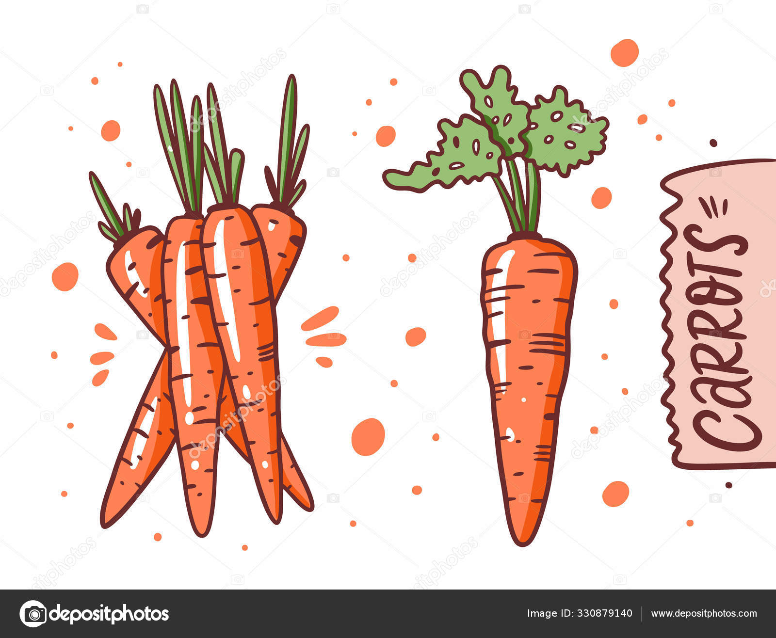 Different carrot. Hand draw vector illustration. Cartoon style. Stock  Vector Image by ©Octyarb #330879140