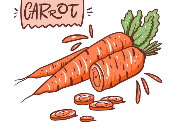 Jolie carotte. Illustration vectorielle. Cartoon style. Isolé sur fond blanc . — Image vectorielle