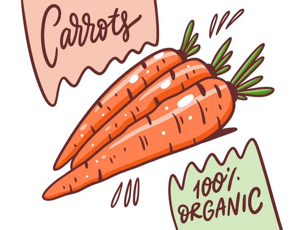Affiche de carottes. 100 produits biologiques. Illustration vectorielle. Cartoon style . — Image vectorielle