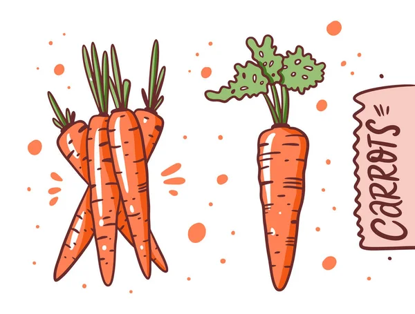 Une carotte différente. Illustration vectorielle de dessin à la main. Cartoon style . — Image vectorielle