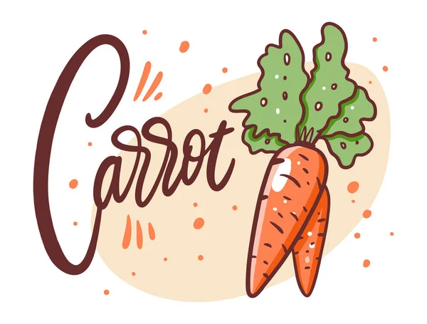 Bannière aux carottes. Illustration vectorielle de dessin à la main. Cartoon style . — Image vectorielle