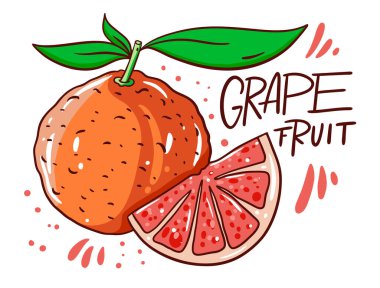 Tam ve Dilimlenmiş Greapefruit. Doğal ürün. İskandinav tipografisi. Çizgi film tarzı. Vektör illüstrasyonu.